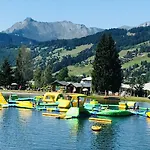Chalet Domino בקתה Abondance